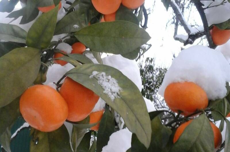 Изображение Изображение гостиницы &quot;Гостевой дом «Барс» (Irbis)&quot; #4 #2