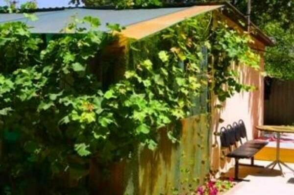 Изображение Изображение гостиницы &quot;Гостевой дом «Камелия»&quot; #8 #6