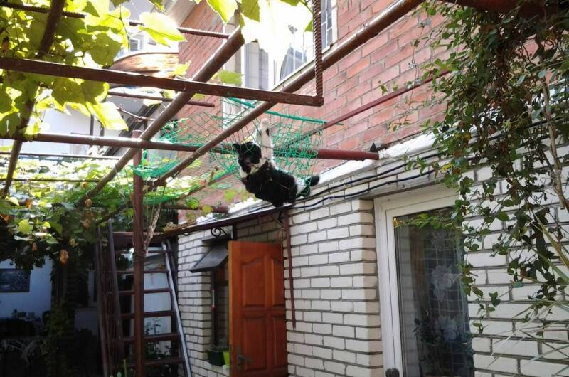 Изображение Изображение гостиницы &quot;Гостевой дом «На Крымской»&quot; #5 #3