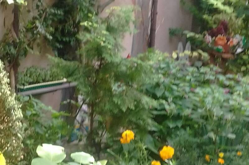 Изображение Изображение гостиницы &quot;Гостевой дом «На Крымской»&quot; #7 #5