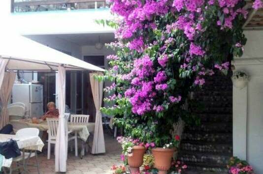 Изображение Изображение гостиницы &quot;Гостевой дом «Бугенвилия»&quot; #3 #1