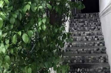 Изображение Изображение гостиницы &quot;Гостевой дом «Бугенвилия»&quot; #8 #6