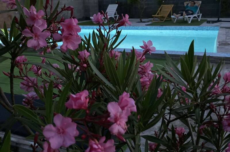 Изображение гостиницы "Гостевой дом «Сюзанна»" #1