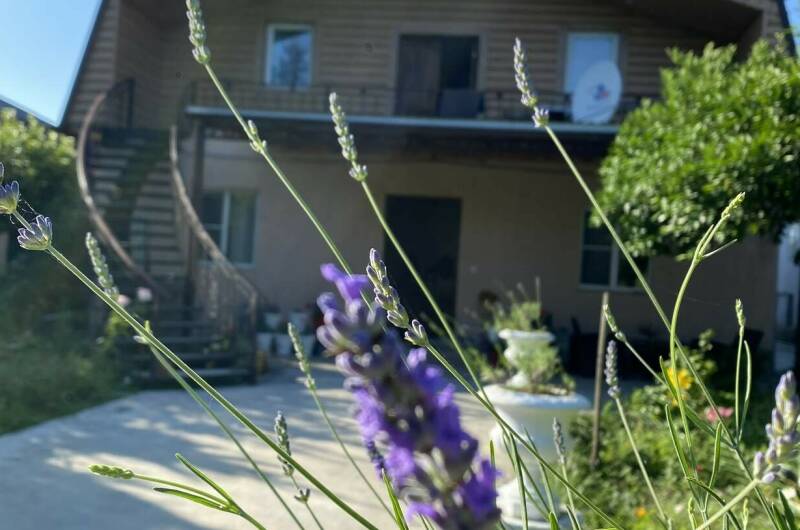 Изображение Изображение гостиницы &quot;Гостевой дом «Сюзанна»&quot; #7 #5