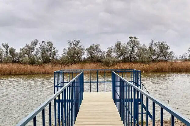 Изображение Изображение гостиницы &quot;База отдыха «Ботаники»&quot; #11 #9