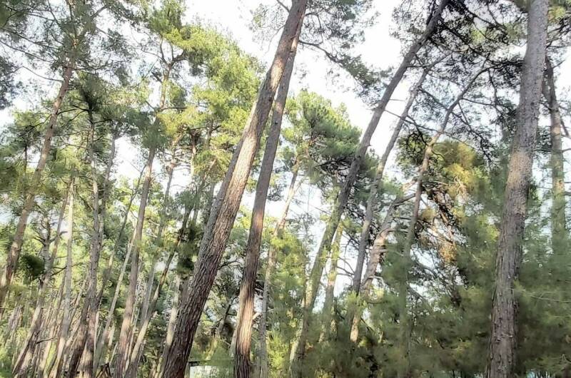 Изображение Изображение гостиницы &quot;Гостевой дом «Пегас»&quot; #5 #3