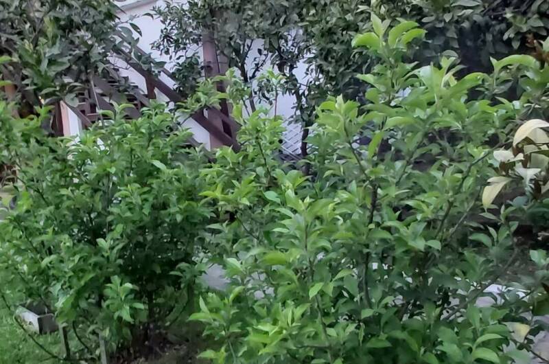 Изображение Изображение гостиницы &quot;Гостевой дом «Пегас»&quot; #8 #6