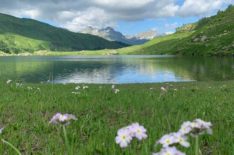 Изображение Изображение гостиницы &quot;Гостевой дом «Пегас»&quot; #9 #7