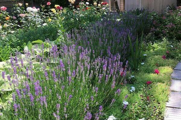 Изображение Изображение гостиницы &quot;Гостевой дом «Солнечный»&quot; #5 #3