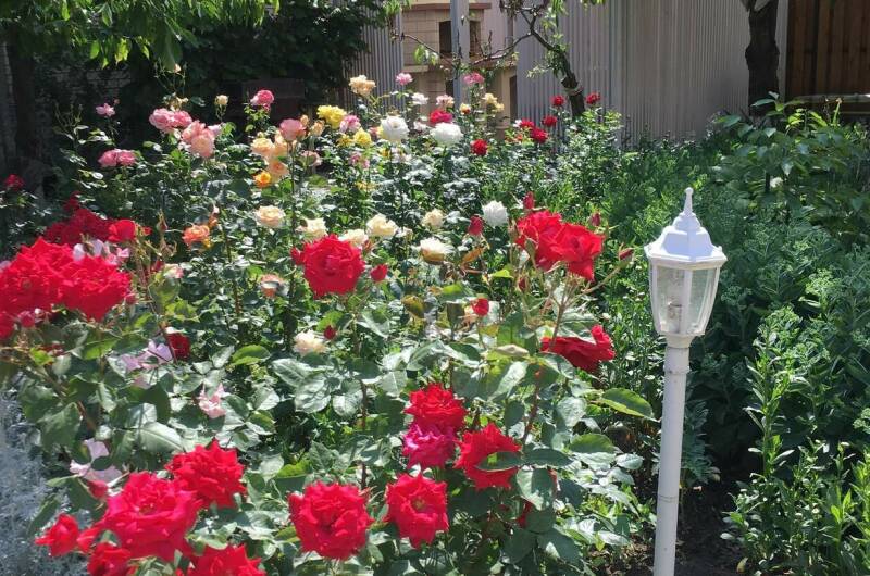 Изображение Изображение гостиницы &quot;Гостевой дом «Солнечный»&quot; #10 #8