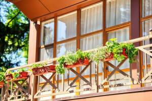 Изображение отеля / гостиницы "Отель «Green Club»"