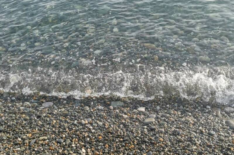 Изображение Изображение гостиницы &quot;Эко-домики «У Давида»&quot; #8 #6