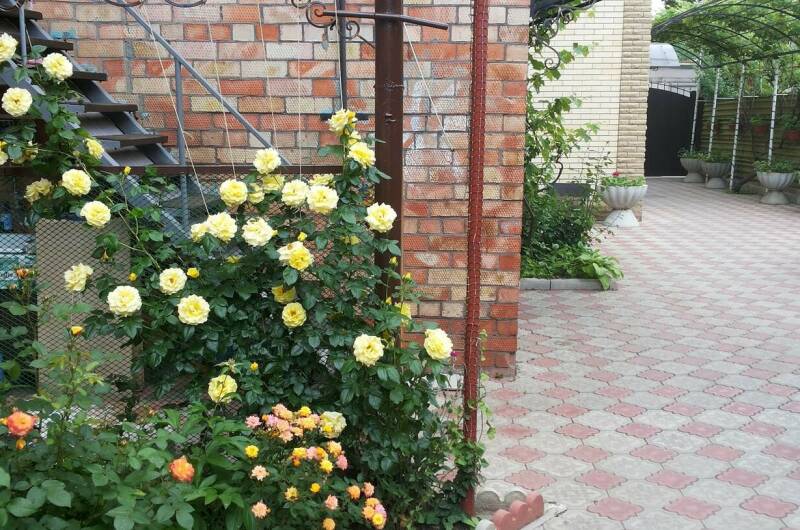 Изображение квартиры "Дом под ключ до 5 человек" #1