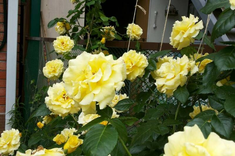 Изображение Изображение квартиры &quot;Дом под ключ до 5 человек&quot; #6 #4