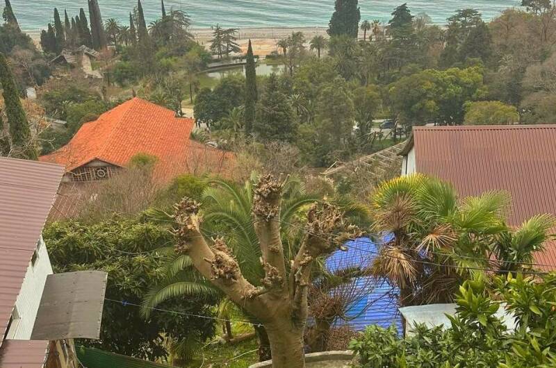 Изображение Изображение гостиницы &quot;Гостевой дом «Панорама-Гагра»&quot; #6 #4