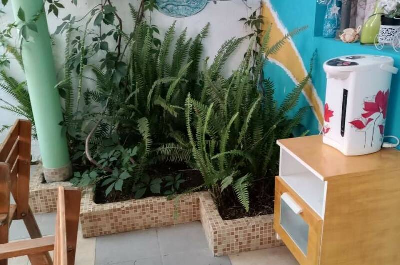 Изображение Изображение гостиницы &quot;Гостевой дом «У Седы Сергеевны»&quot; #11 #9