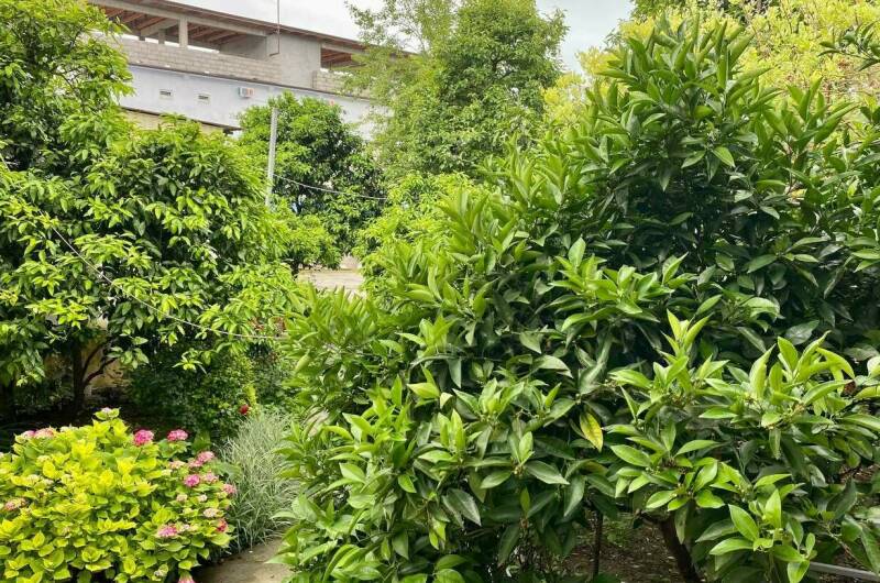 Изображение Изображение гостиницы &quot;Гостевой дом «Калипсо»&quot; #10 #8