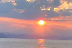 Изображение Апартаменты на пляже «Дельфин» #5