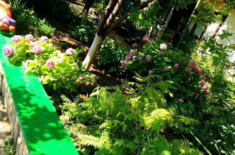 Изображение Изображение гостиницы &quot;Гостевой дом «Волна»&quot; #5 #3