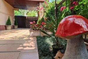 Изображение отеля / гостиницы "Гостевой дом «Киви дом»"