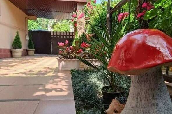 Изображение гостиницы "Гостевой дом «Киви дом»" #1