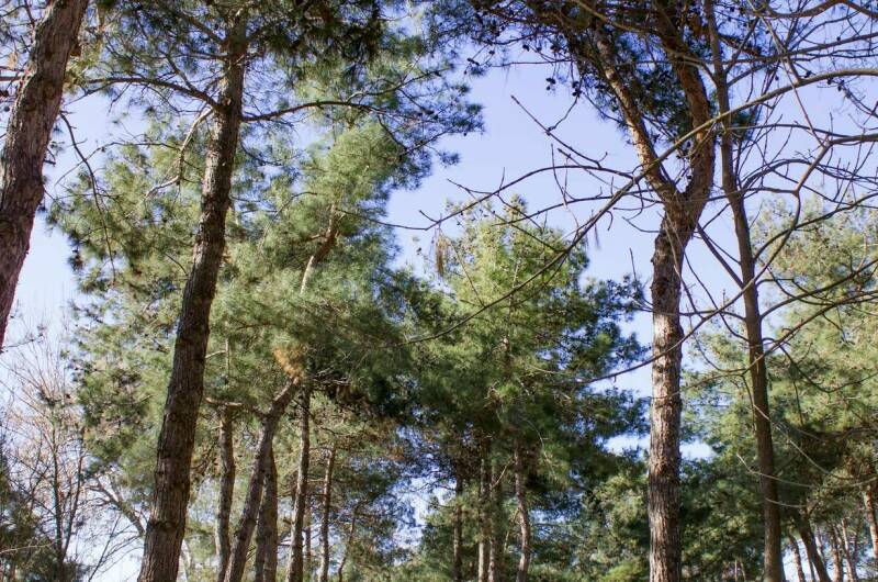 Изображение Изображение квартиры &quot;Апартаменты в ЖК «Колорит»&quot; #4 #2