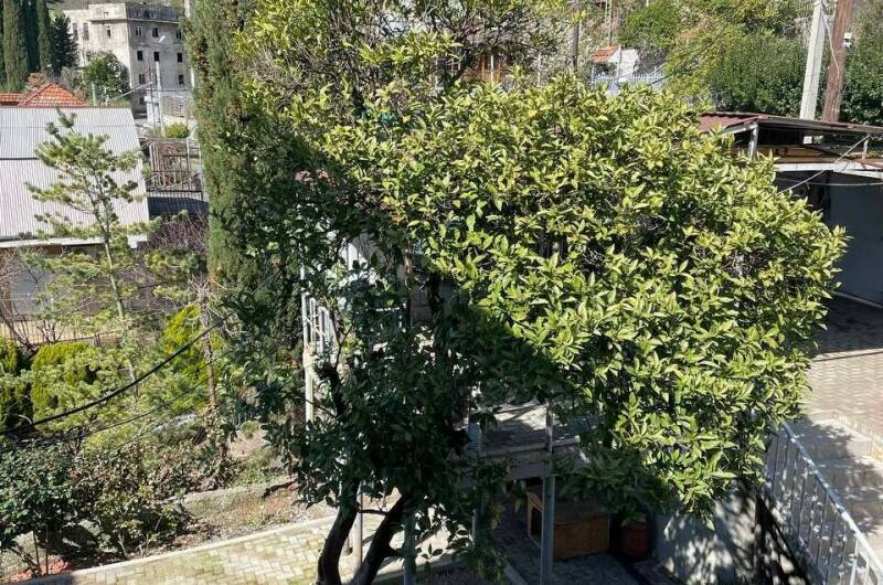 Изображение Изображение гостиницы &quot;Гостевой дом «Апельсин»&quot; #8 #6