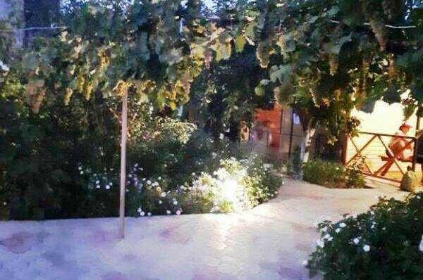 Изображение Изображение гостиницы &quot;Гостевой дом «Африка»&quot; #3 #1