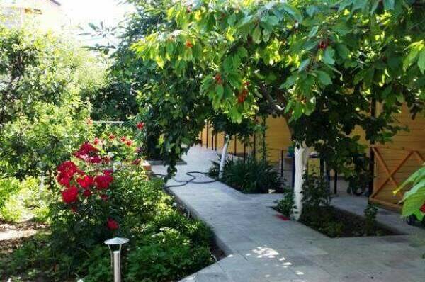 Изображение Изображение гостиницы &quot;Гостевой дом «Африка»&quot; #7 #5