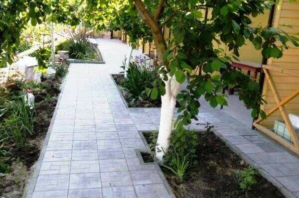 Изображение Изображение гостиницы &quot;Гостевой дом «Африка»&quot; #9 #7