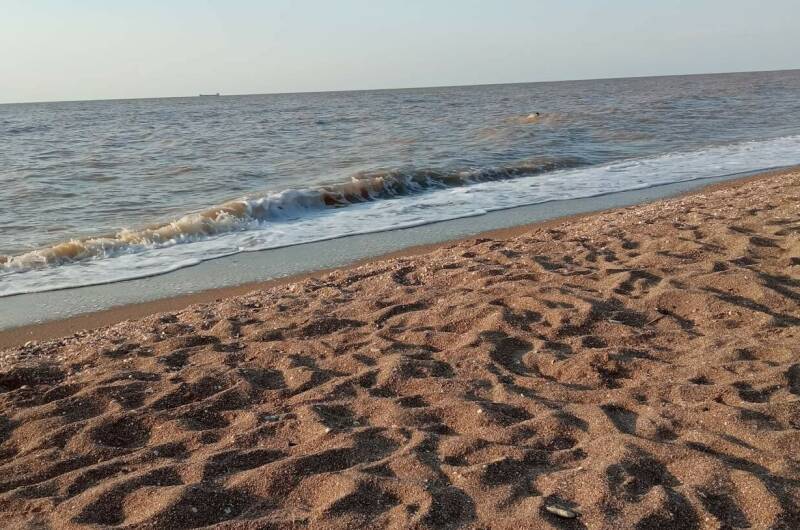 Изображение Изображение квартиры &quot;Квартира-студия у моря&quot; #8 #6