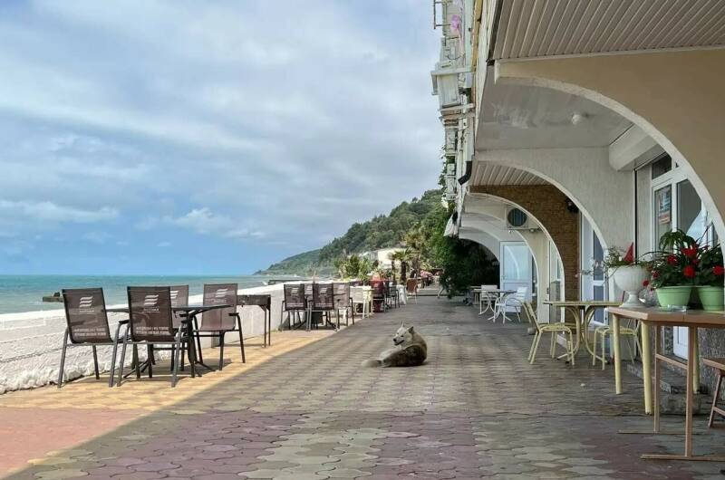 Изображение Изображение гостиницы &quot;Гостевой дом «Кипарис»&quot; #5 #3