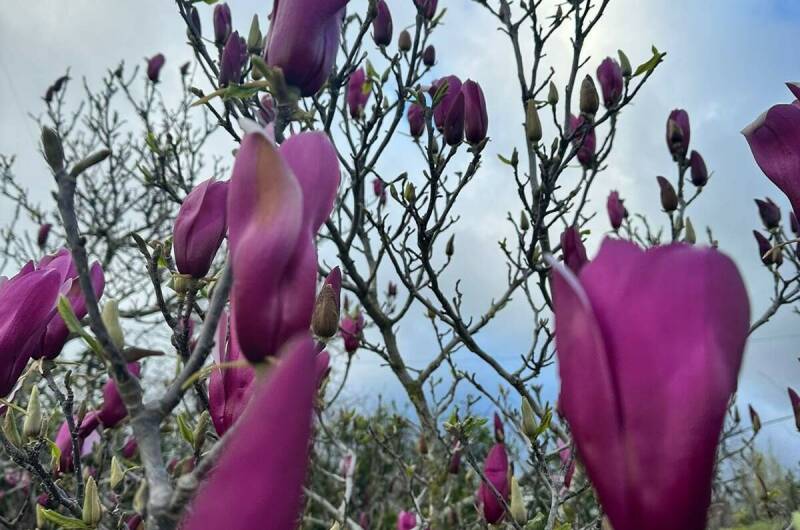 Изображение Изображение гостиницы &quot;Апартаменты «Изабелла»&quot; #5 #3