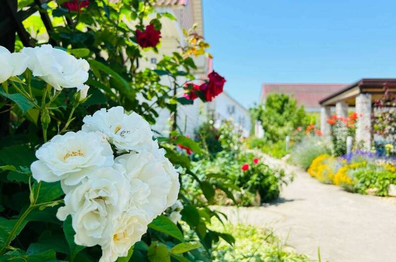 Изображение Изображение гостиницы &quot;Гостевой дом «АнастаSea»&quot; #6 #4