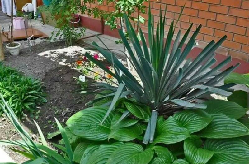 Изображение Изображение гостиницы &quot;Гостевой дом «София»&quot; #6 #4