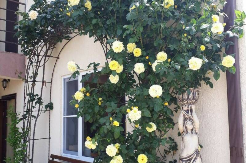 Изображение Изображение гостиницы &quot;Частный дом на Жемчужной&quot; #10 #8