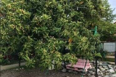 Изображение гостиницы "Гостевой дом «Ангелина»" #1