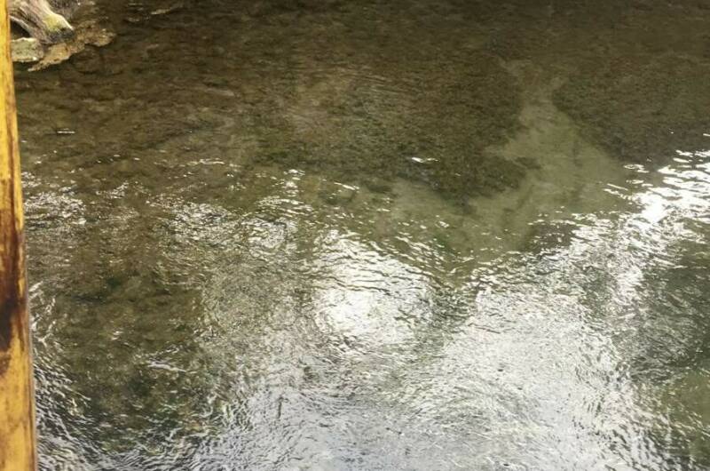 Изображение Изображение гостиницы &quot;Гостевой дом «Ангелина»&quot; #7 #5