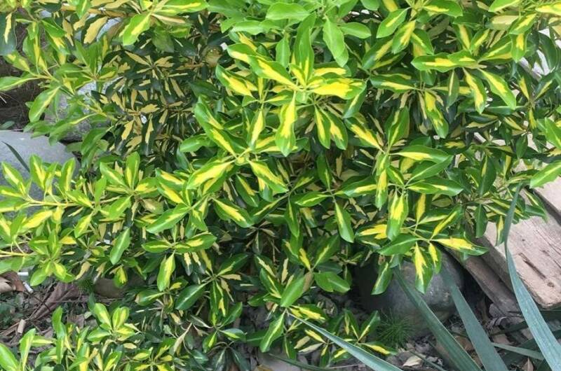 Изображение Изображение гостиницы &quot;Гостевой дом «Ангелина»&quot; #8 #6