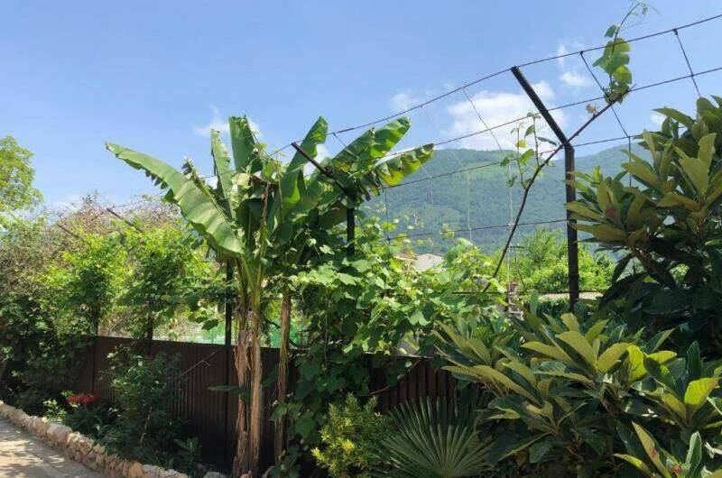 Изображение Изображение гостиницы &quot;Гостевой дом «Фазенда»&quot; #7 #5