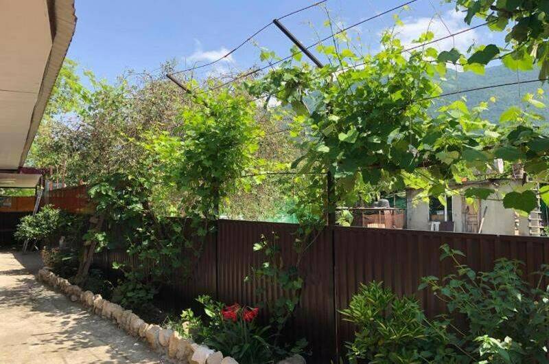 Изображение Изображение гостиницы &quot;Гостевой дом «Фазенда»&quot; #10 #8