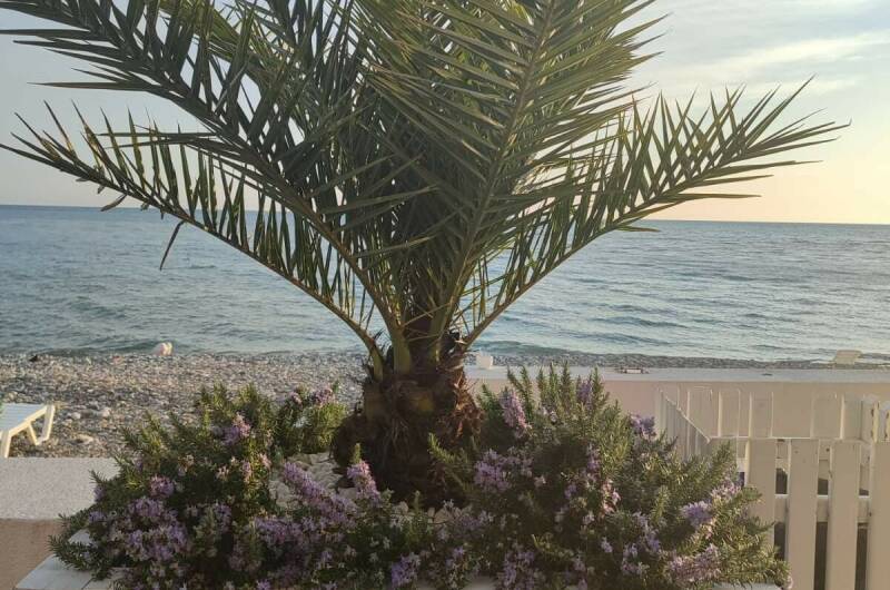 Изображение Изображение квартиры &quot;Уютная квартира у моря&quot; #11 #9