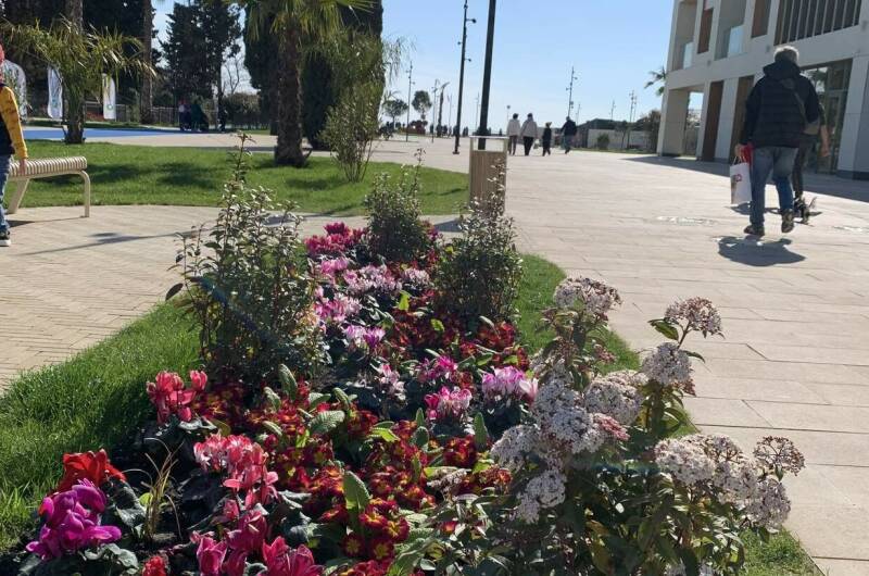 Изображение квартиры "Апартаменты «Сардиния»" #1