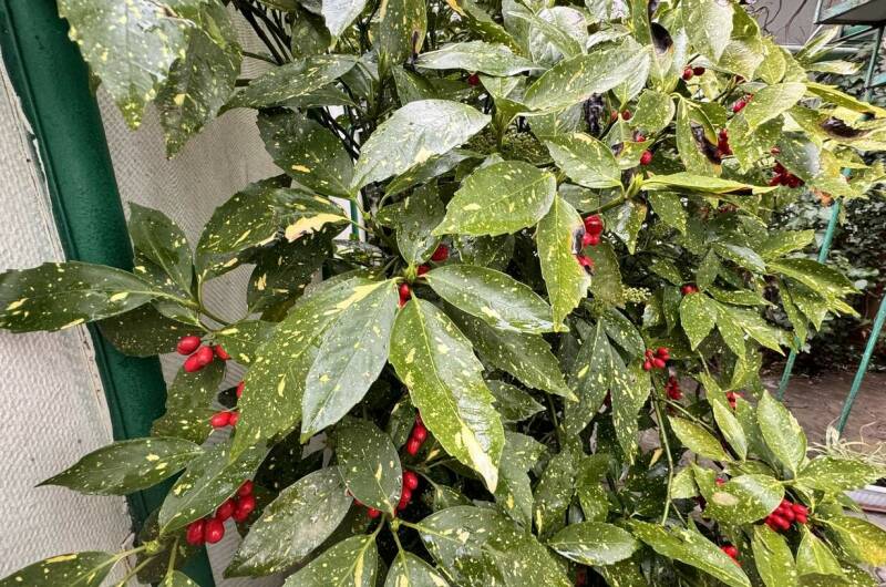 Изображение Изображение гостиницы &quot;Гостевой дом «ДиЛен»&quot; #3 #1