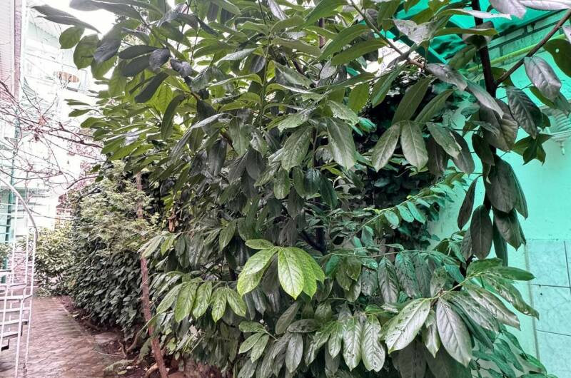 Изображение Изображение гостиницы &quot;Гостевой дом «ДиЛен»&quot; #6 #4