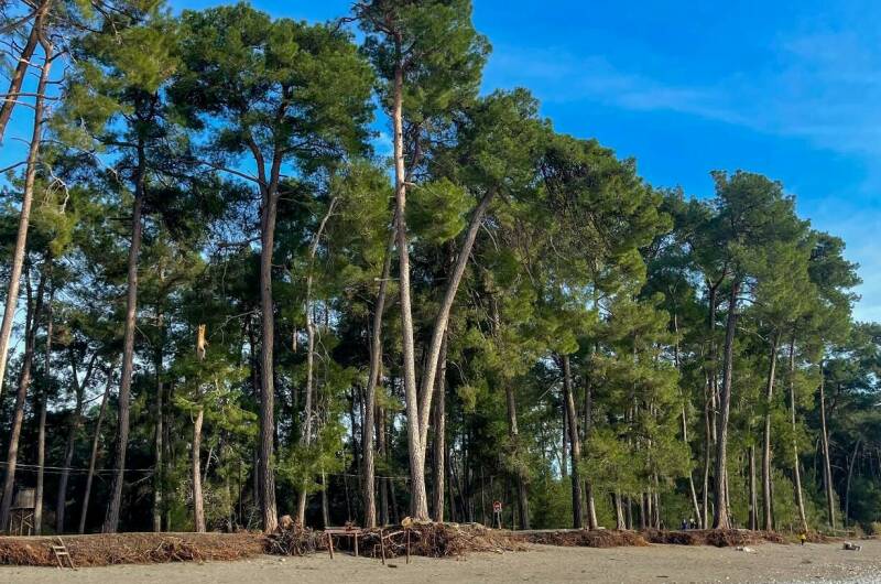 Изображение Изображение гостиницы &quot;Гостевой дом «Harmony»&quot; #10 #8