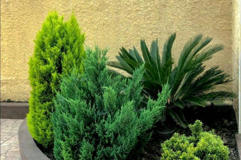 Изображение Изображение гостиницы &quot;Гостевой дом «У Сати»&quot; #5 #3