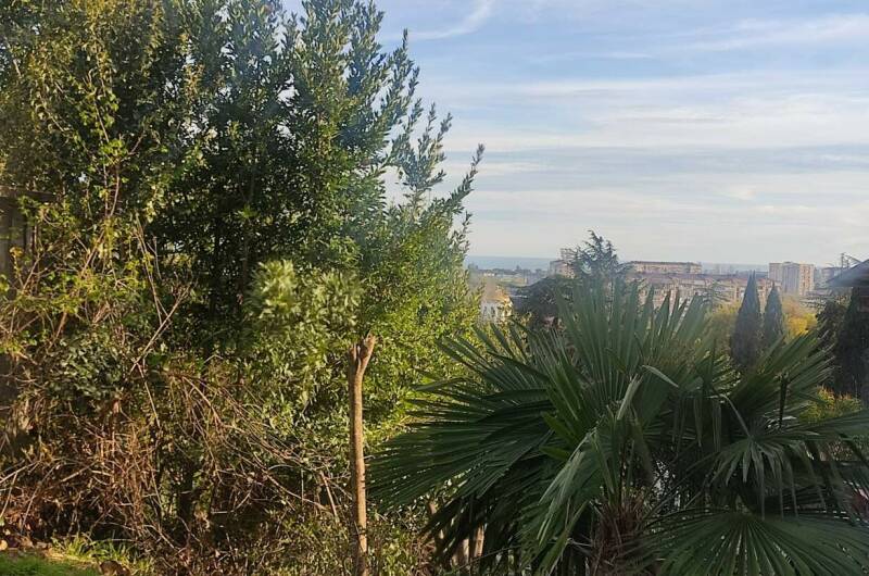 Изображение Изображение гостиницы &quot;Гостевой дом «у Нино»&quot; #3 #1