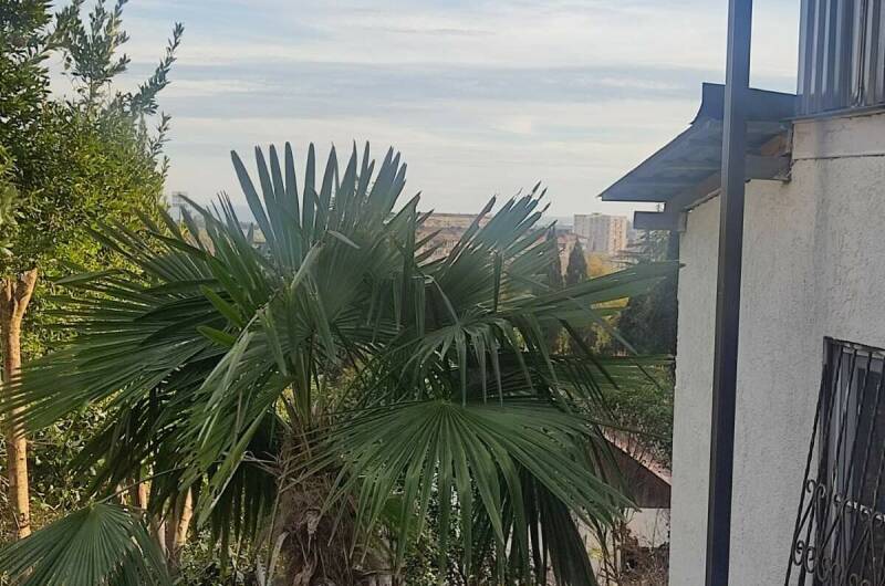 Изображение Изображение гостиницы &quot;Гостевой дом «у Нино»&quot; #5 #3