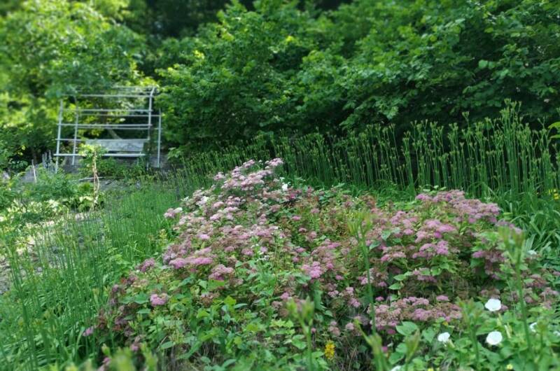 Изображение Изображение гостиницы &quot;Гостевой дом «Яблоневый сад»&quot; #4 #2